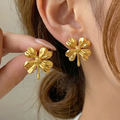 Irregular Geometric Stainless Steel Earrings